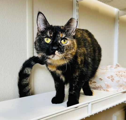 Photo of Edna