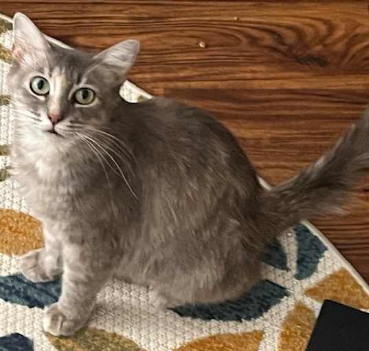 Photo of Denny