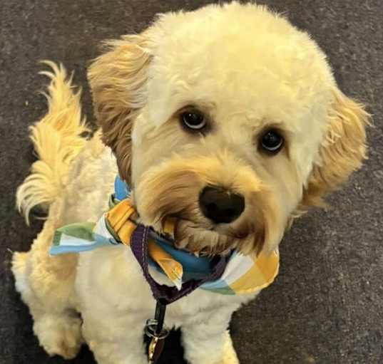 Photo of SPROUT