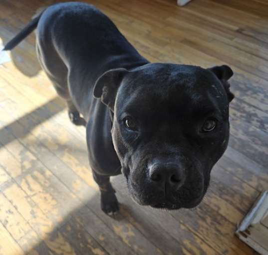 Photo of Bucky