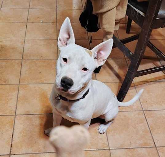 Photo of Gus