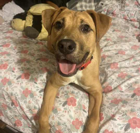 Photo of Maggie