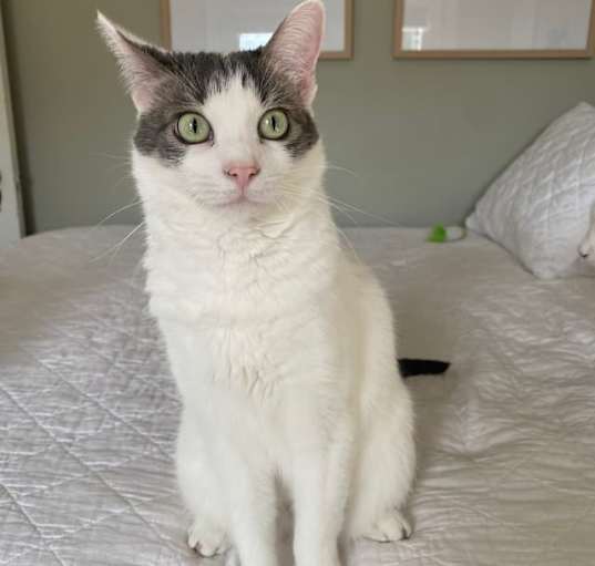 Photo of Miss Daisy