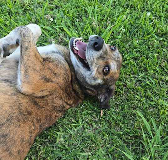 Photo of Delta - Friendly Girl!