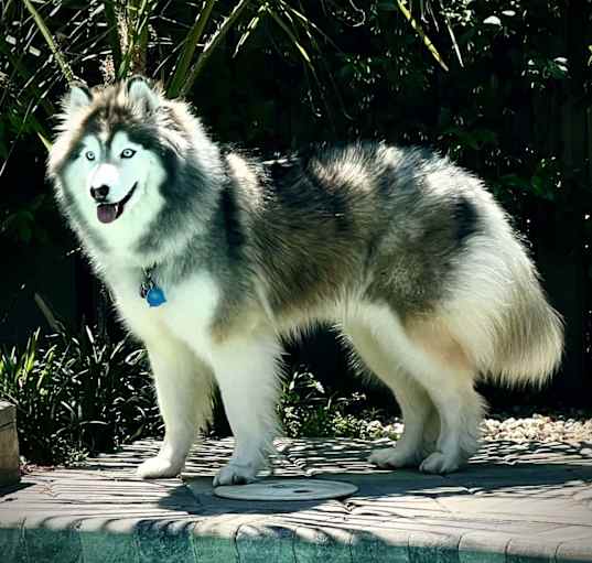 Photo of Wyatt