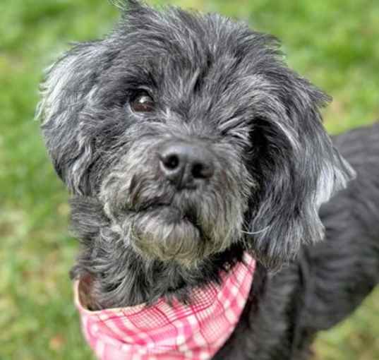 Photo of Betsy