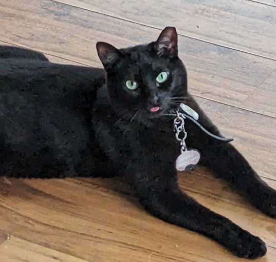 Photo of Jewel