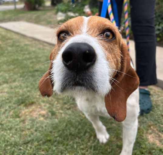 Photo of COOPER