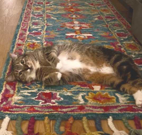 Photo of Hilda