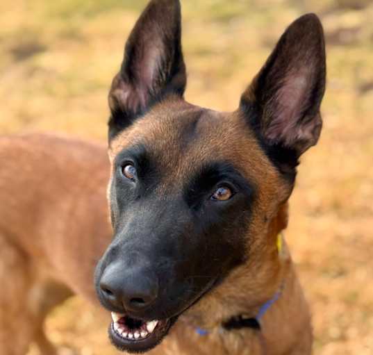 Photo of Kera 