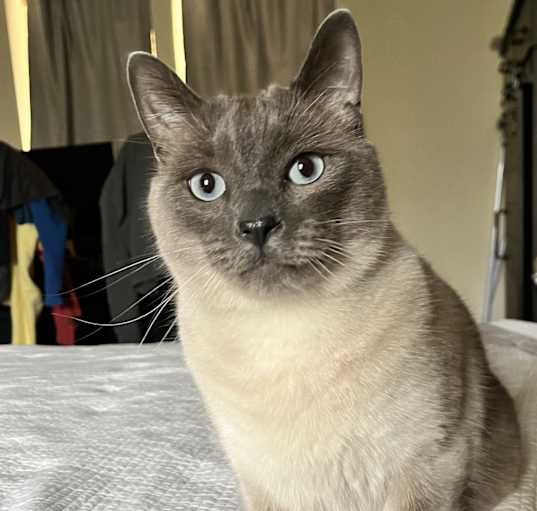Photo of Percy