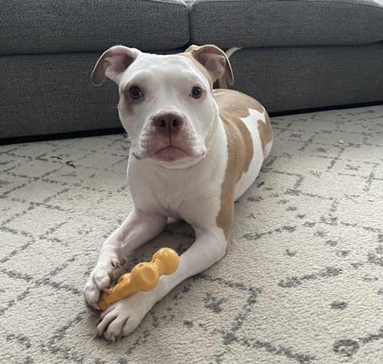 Photo of Ruby