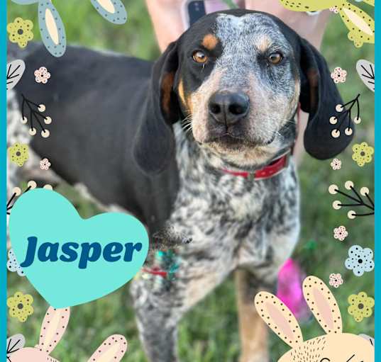 Photo of Jasper