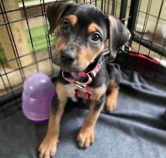 Photo of Tiny