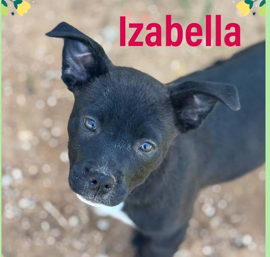 Photo of Izabella