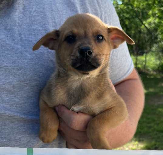 Photo of Zelda