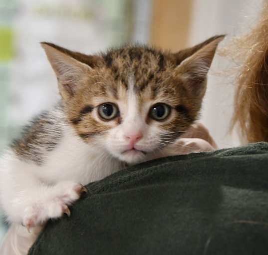 Photo of Tina