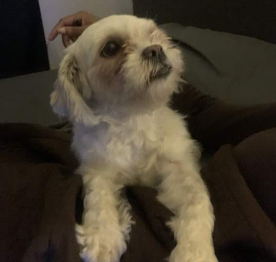 Photo of Sasha