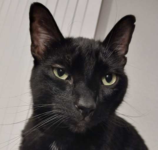 Photo of Jasper