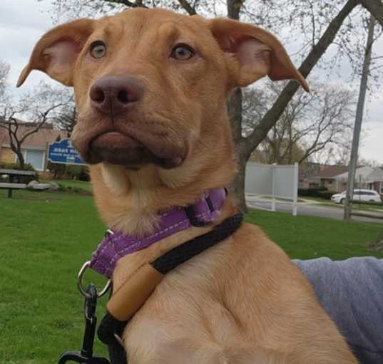 Photo of Otto