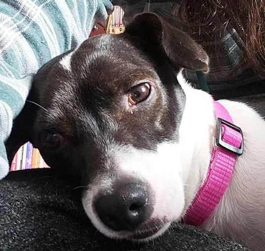 Photo of Cherri (WA)