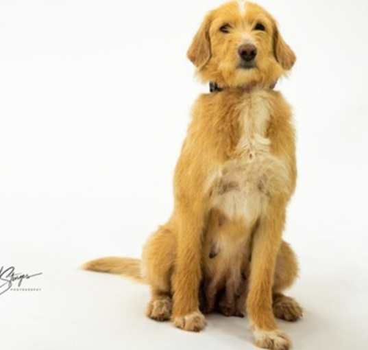 Photo of Maeve