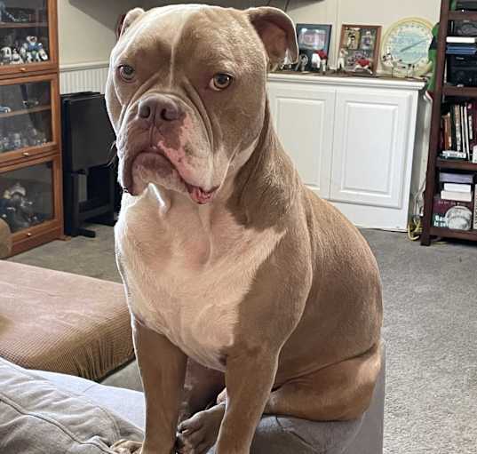 Photo of Bronx