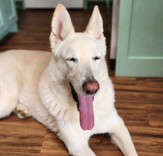 Photo of Cloud