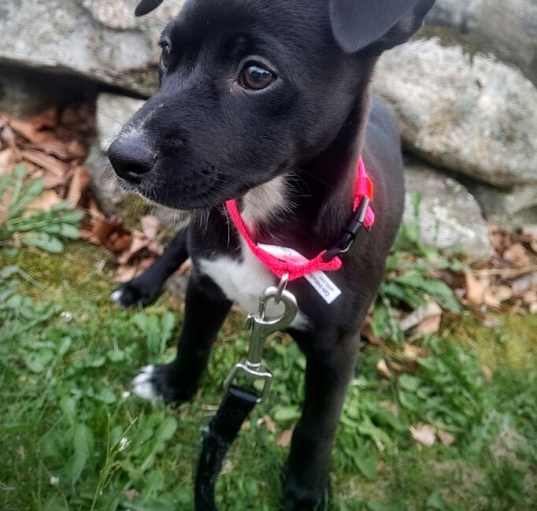 Photo of Odette