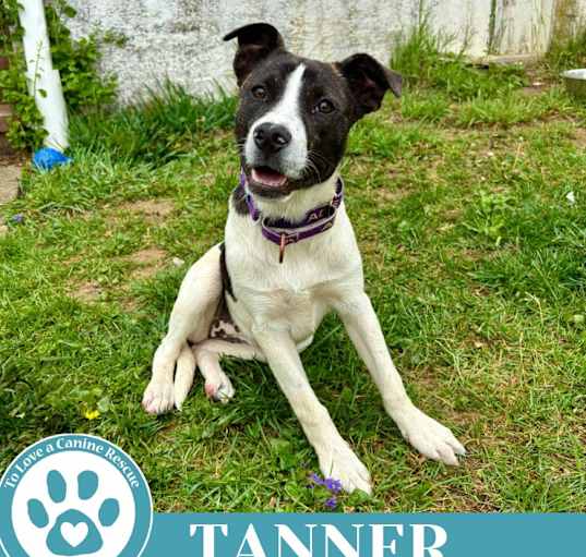 Photo of Tanner (Philly Fanatics) 042625