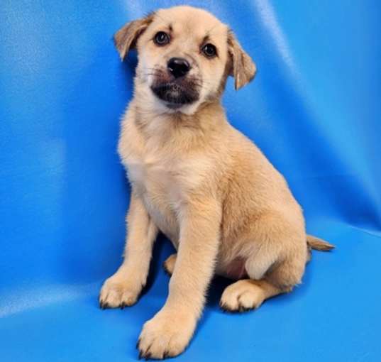 Photo of Wilma