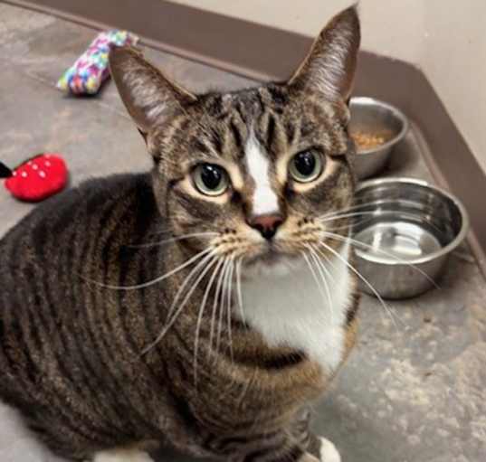 Photo of Miss Chief