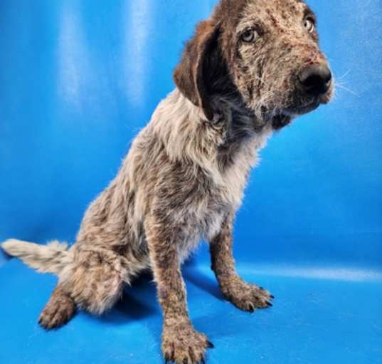 Photo of Barnaby