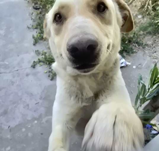 Photo of Neo