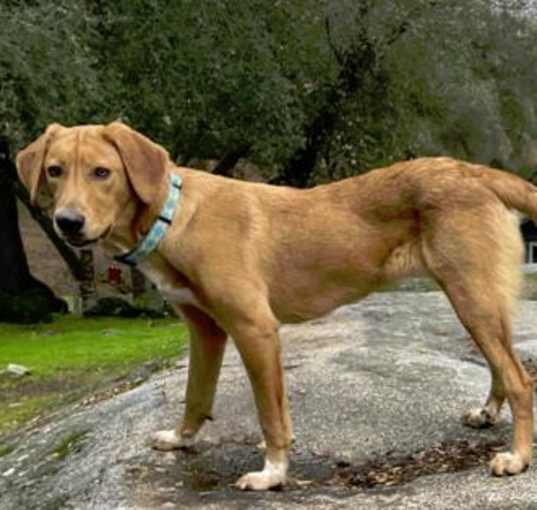 Photo of Charlie