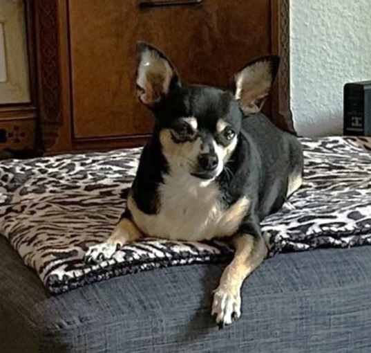 Photo of Bria
