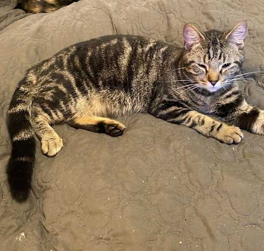 Photo of Buddy