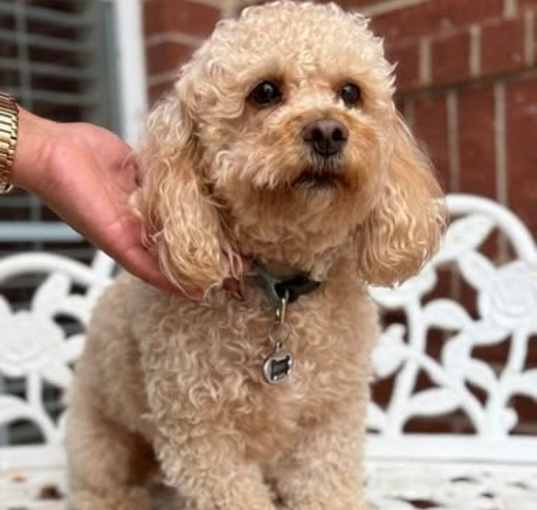 Photo of Benny