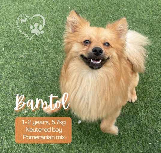 Photo of Bamtol