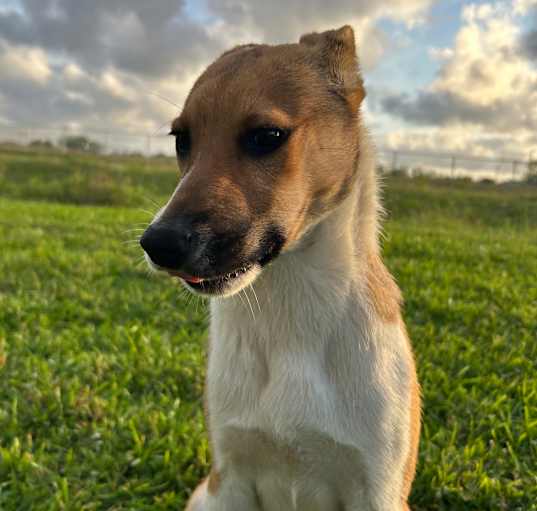 Photo of Fiona