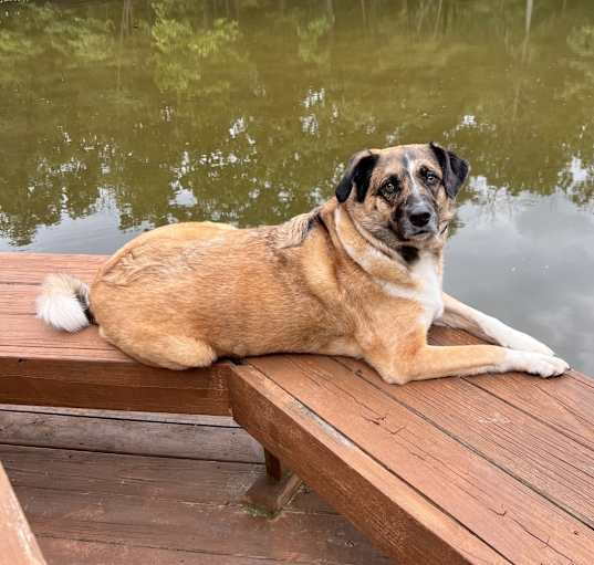 Photo of Bugsy