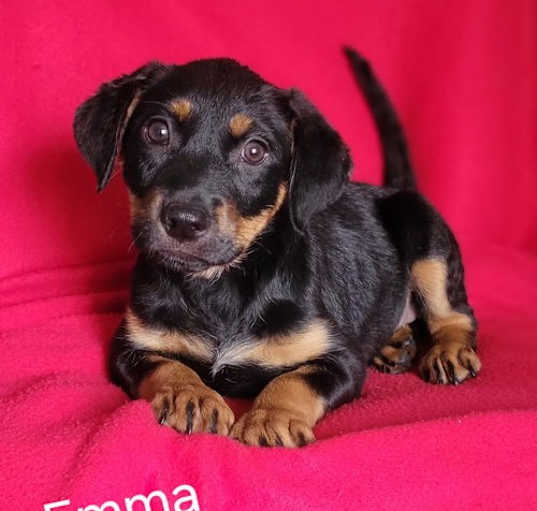 Photo of Emma