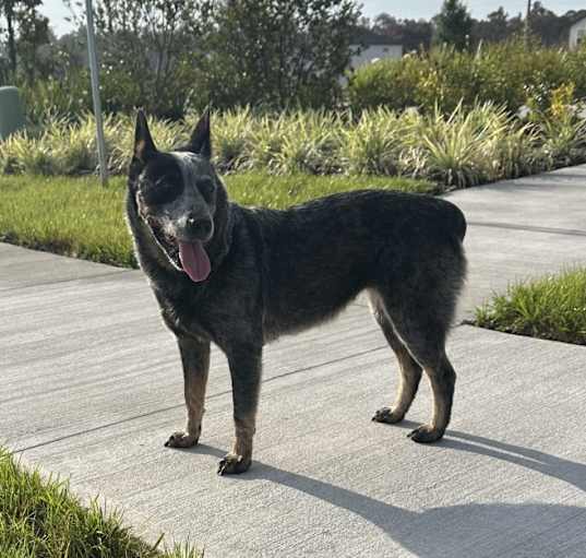 Photo of Sammie