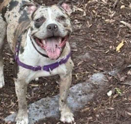 Photo of Maybel