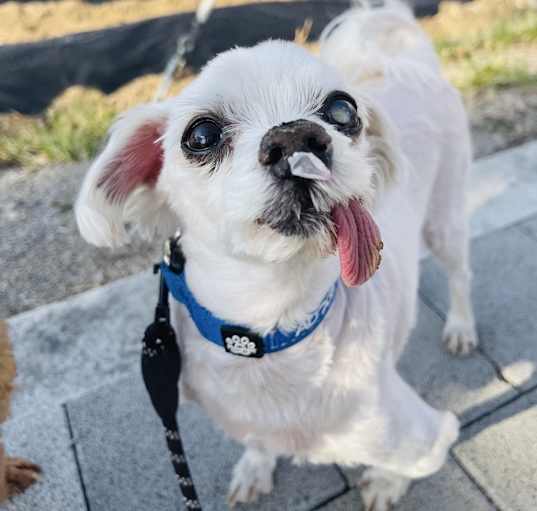 Photo of Noah