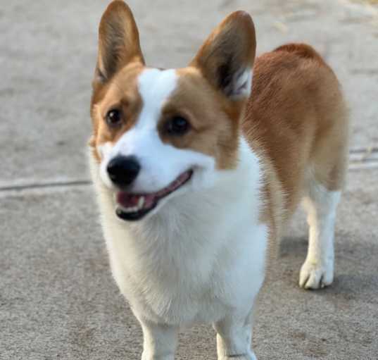 Photo of Tyrone