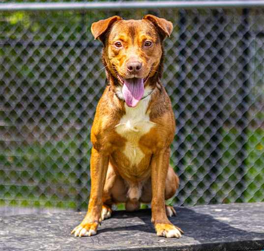 Photo of Bronx