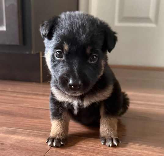 Photo of Fiona