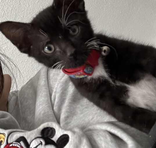 Photo of Zero
