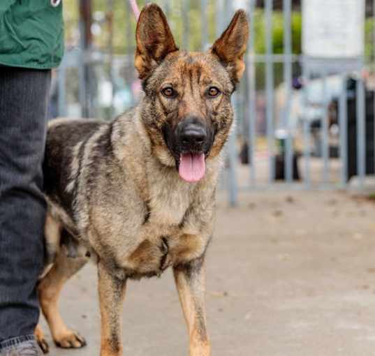 Photo of Tess